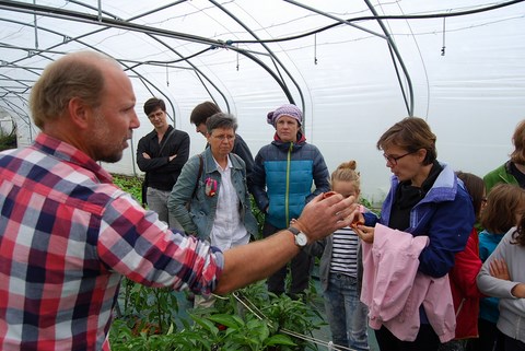 Yvon Savariau chèvre babris'oles